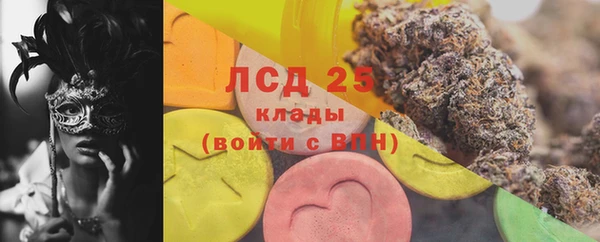 крисы Алзамай