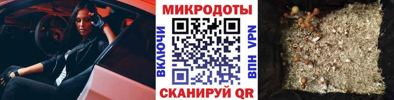 Псилоцибиновые грибы мухоморы  mega как войти  площадка клад  Лахденпохья 